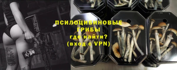 кристаллы Карпинск