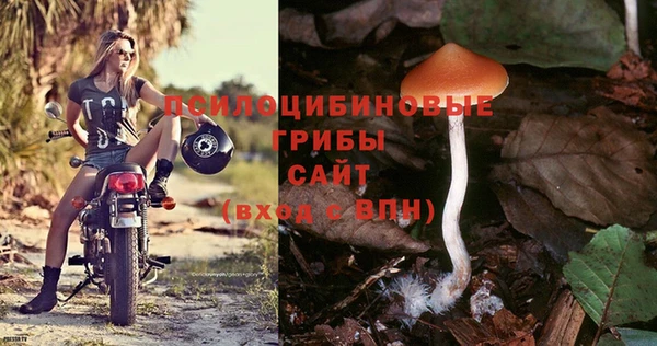 2c-b Касимов
