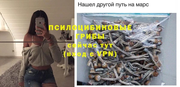 кристаллы Карпинск