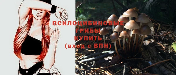 2c-b Касимов
