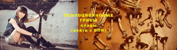 дмт Карталы